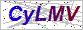 点击切换验证码