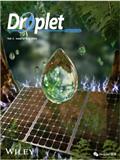液滴（英文）（Droplet）（国际刊号）（OA期刊）