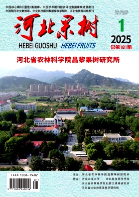河北果树