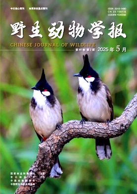 野生动物学报（原：野生动物） 