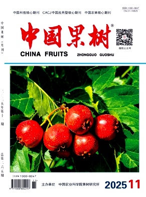 中国果树