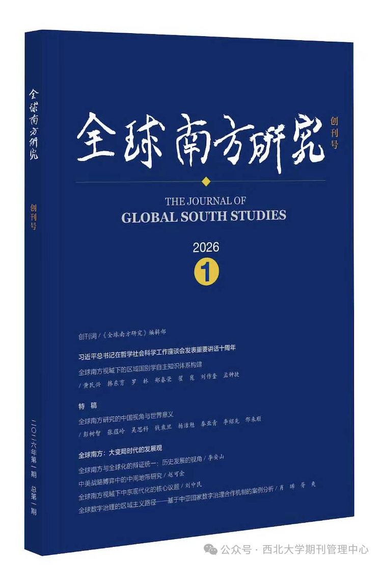 全球南方研究