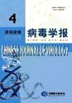 病毒学报