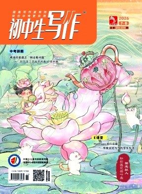 初中生写作