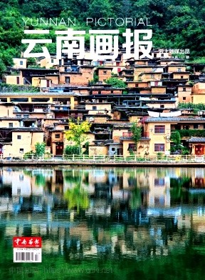 云南画报